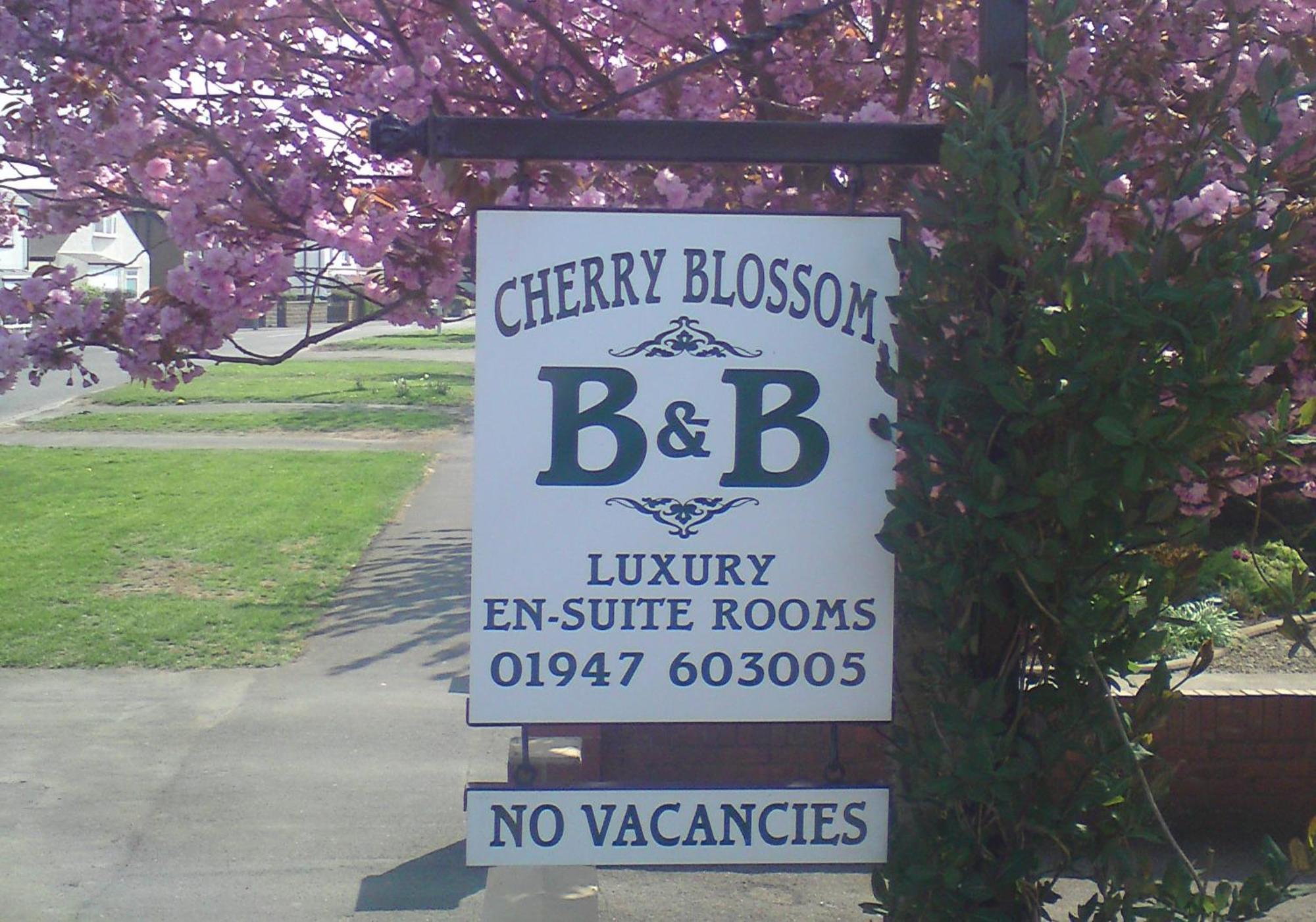 Cherry Blossom Whitby